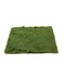 18" x 16" Green Natural Preserved Moss Sheet Party Wedding Crafts Decorations